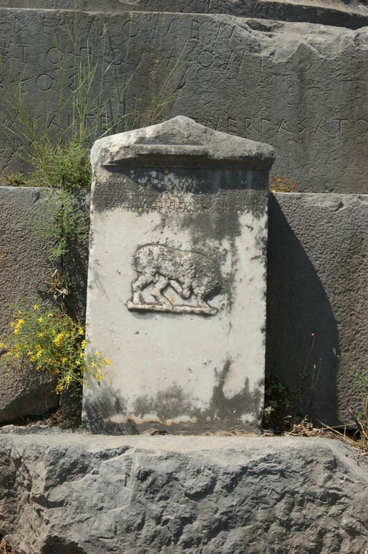 SONY DSC