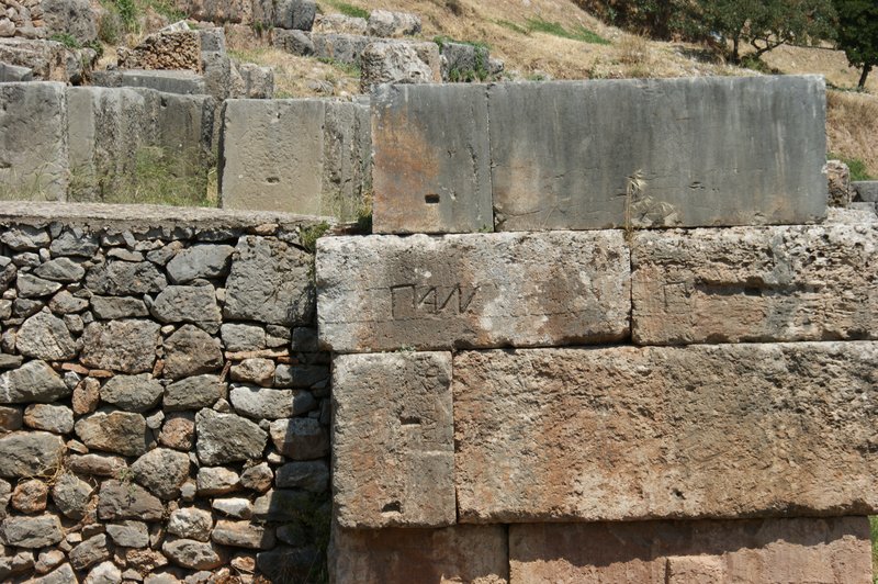 SONY DSC